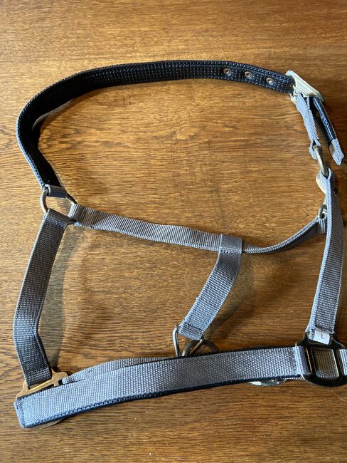 Graues Halfter WB, AS, Halters, Oelde