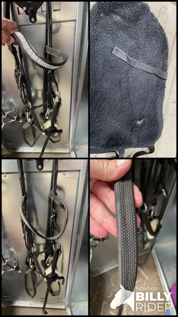 Grackle Bridle, GFS , Gill Jones, Bridles & Headstalls, Newcastle under Lyme , Image 6