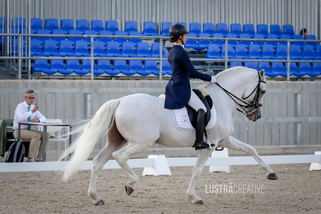 Grand Prix Schoolmaster, ISPA - Iberische Sportpferde Agentur (ISPA - Iberische Sportpferde Agentur), Horses For Sale, Bedburg, Image 2