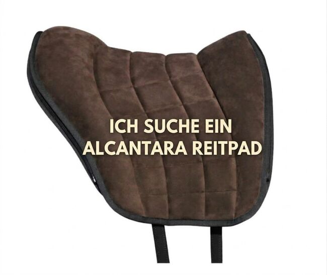 Grandeur Alcantara Pad, Grandeur Alcantara, Heike , Bareback pads, Allendorf (Eder) Rennertehausen