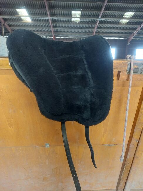 Grandeur Sattel, Andaluz light, Fellsattel, schwarz, Grandeur Andaluz light, Celine, Treeless Saddle, Neustadt