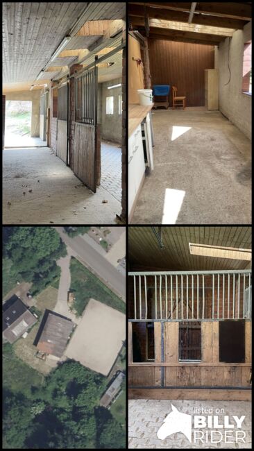 Freie Pferdeboxen, Jesse, Horse Stables, Kirchlengern, Image 6