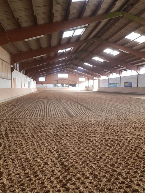 Freie Pferdeboxen auf charmantem Hof in Paderborn (Uni-Nähe), Marina Höschen, Horse Stables, Paderborn, Image 4