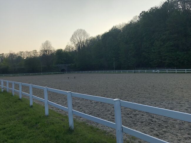 Freie Pferdeboxen auf charmantem Hof in Paderborn (Uni-Nähe), Marina Höschen, Horse Stables, Paderborn, Image 5