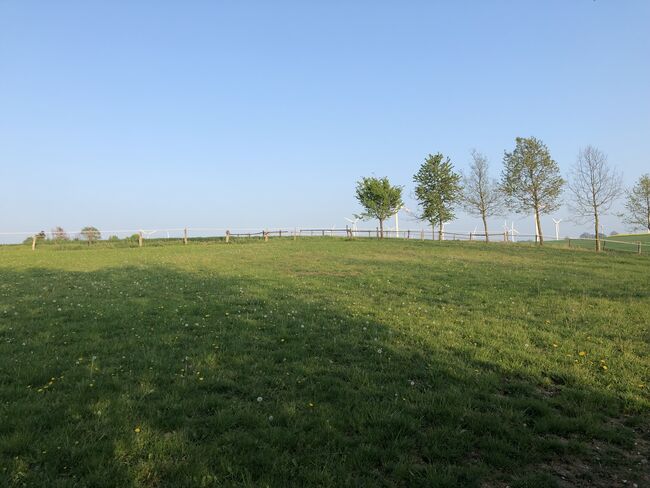 Freie Pferdeboxen auf charmantem Hof in Paderborn (Uni-Nähe), Marina Höschen, Horse Stables, Paderborn, Image 8