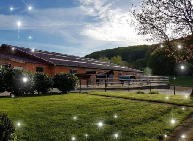 Frei Paddockboxen, Balzer , Horse & Stable Mats, Marburg 