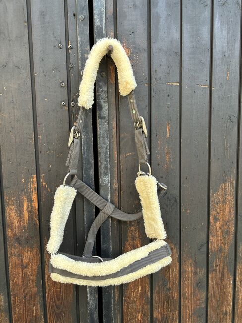 Graues Halfter, Showmaster Halfter, Iris, Halfter, Weiz