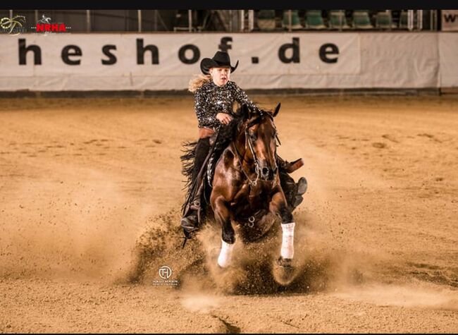 Toller Allrounder für Turnier und Freizeit abzugeben, Kerstin Rehbehn (Pferdemarketing Ost), Horses For Sale, Nienburg, Image 3