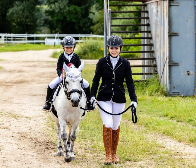 Tolles Pony mit viel Potential, Jacky, Horses For Sale, Sulzbach-Rosenberg, Image 6