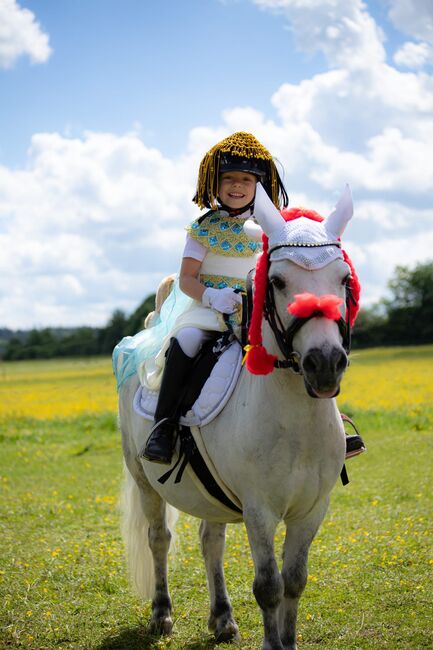 Tolles Pony mit viel Potential, Jacky, Horses For Sale, Sulzbach-Rosenberg, Image 7