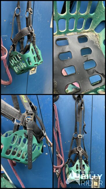 Greenguard Fressbremse Gr.VB/Cob, Greenguard Fressbremse mit Halfter , Isabelle, Halters, Köln, Image 5