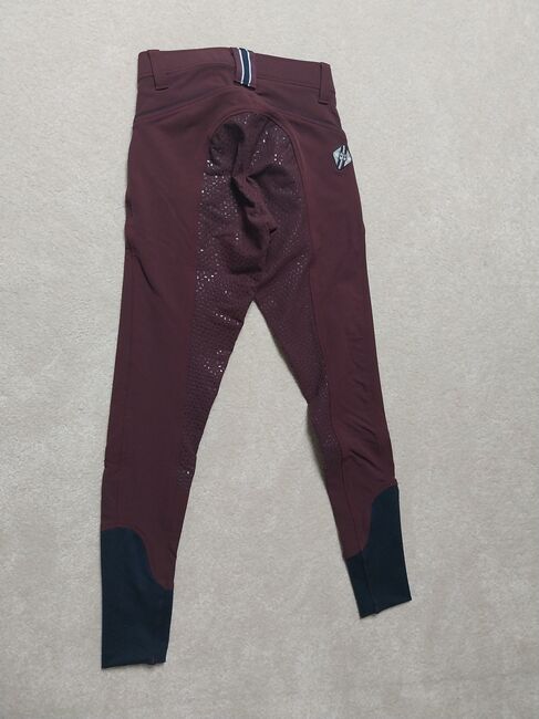 Grip-Vollbesatz-Reithosen, Felix Bühler, Sandra Salzberger, Breeches & Jodhpurs, Bayern - Frontenhausen, Image 7