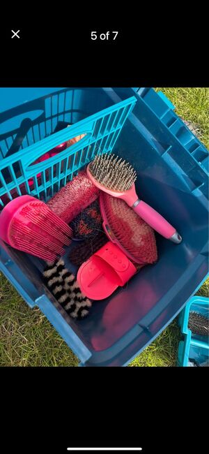 Grooming box with brushes, bands etc, Shires, Jess, Putzzeug, Telford, Abbildung 5