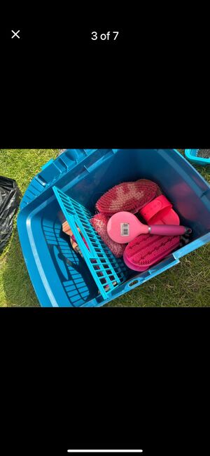 Grooming box with brushes, bands etc, Shires, Jess, Putzzeug, Telford, Abbildung 3