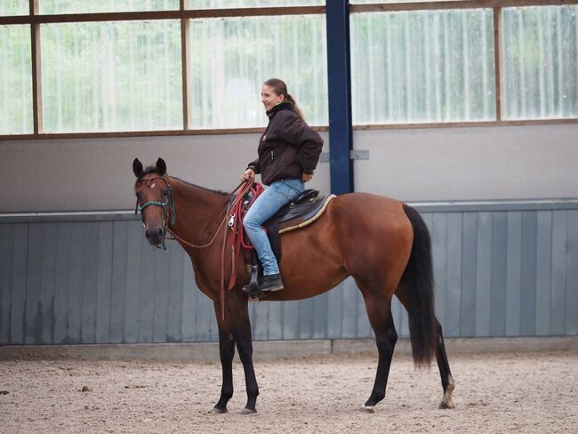 Großrahmige, ausdrucksstarke Quarter Horse Stute, Kerstin Rehbehn (Pferdemarketing Ost), Horses For Sale, Nienburg, Image 9