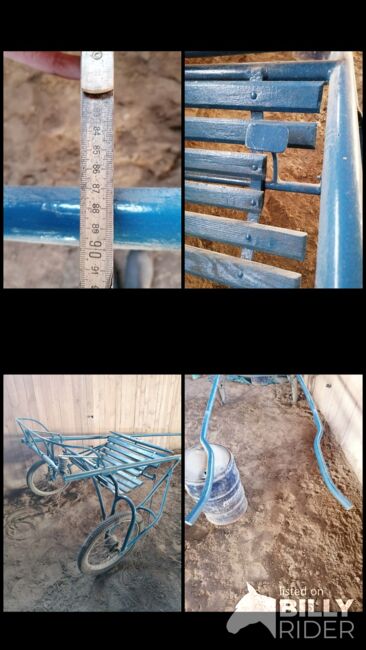 Groß Pferd Sulky, Sunbeam Ranch! , Kutschen, Kaufbeuren , Abbildung 8
