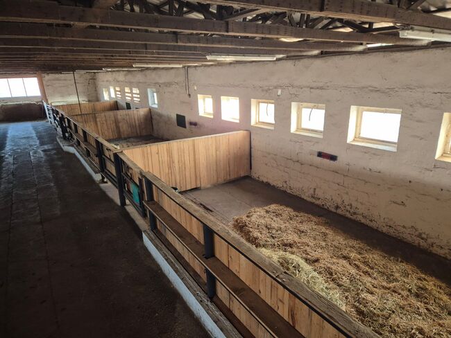 Große Box , Offenstall, Sophia, Stallplätze,  Barnstädt, Abbildung 3