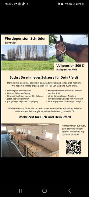 Große Box , Offenstall, Sophia, Stallplätze,  Barnstädt