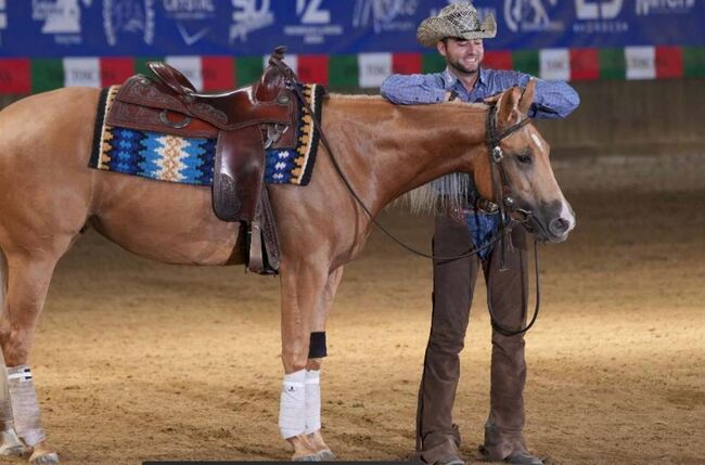 Großrahmige, gut gerittene Quarter Horse Stute, Kerstin Rehbehn (Pferdemarketing Ost), Pferd kaufen, Nienburg, Abbildung 10