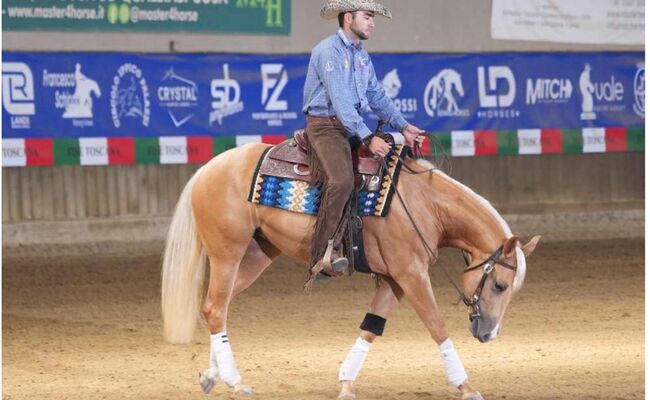 Großrahmige, gut gerittene Quarter Horse Stute, Kerstin Rehbehn (Pferdemarketing Ost), Pferd kaufen, Nienburg, Abbildung 5