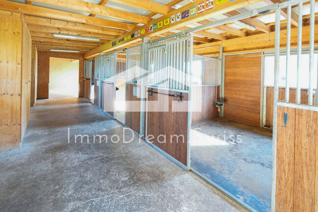 Grosszügige Landhausvilla 11.5 Zi., mit Pferdestall und 5 Garagen, Herr Mike Benz (MB Management and Consulting AG), Pferdeimmobilien, Reitnau, Abbildung 5