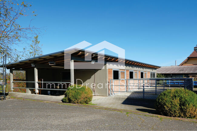Grosszügige Landhausvilla 11.5 Zi., mit Pferdestall und 5 Garagen, Herr Mike Benz (MB Management and Consulting AG), Pferdeimmobilien, Reitnau, Abbildung 8