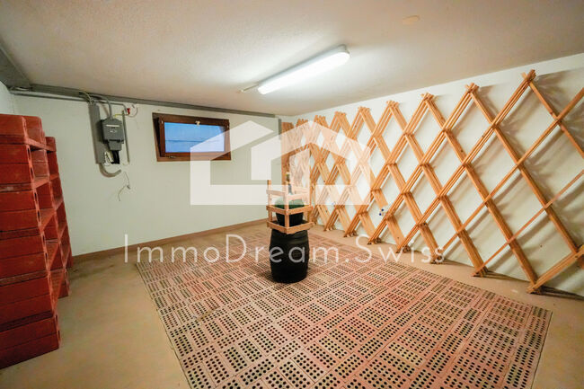 Grosszügige Landhausvilla 11.5 Zi., mit Pferdestall und 5 Garagen, Herr Mike Benz (MB Management and Consulting AG), Pferdeimmobilien, Reitnau, Abbildung 11