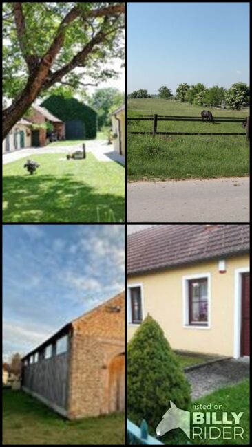 Großzügiges Grundstück mit Pferdehof und sofort bewohnbarem Haus zu verkaufen, Angelika Auer, Pferdeimmobilien, Markgrafneusiedel, Abbildung 5