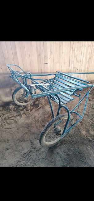 Groß Pferd Sulky, Sunbeam Ranch! , Carriages, Kaufbeuren , Image 4
