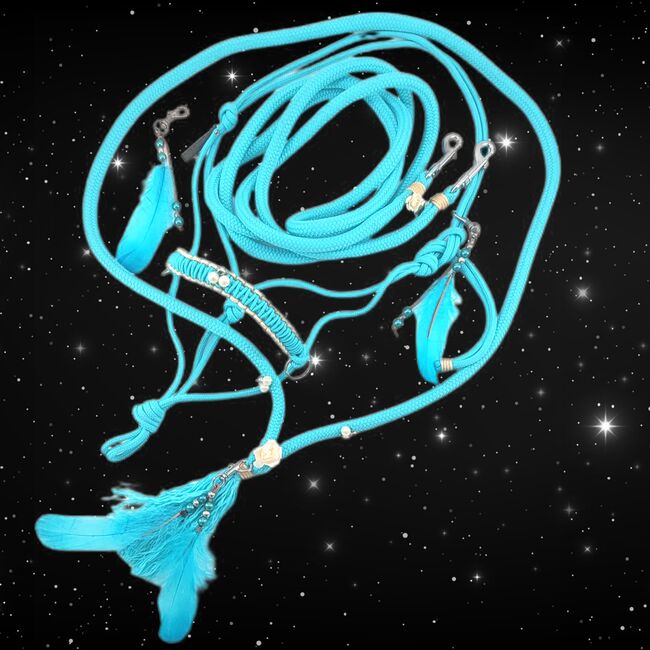 Grosses Set Sidepull Zügel Halsring COB Farbe Aqua, Maya (Swisshorseshop), Halters, Frauenfeld