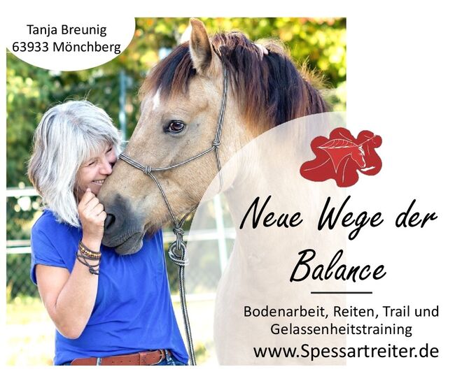 Bodenarbeit, Sitzschulung, Gesundheitstraining, Spessartreiter, Reitverein Mönchberg, Riding Lessons, Mönchberg