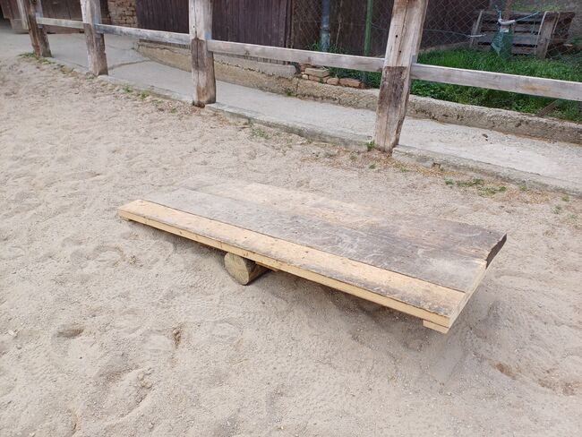 Pferde Wippe, Bernadette, Riding Arena, Bad Pirawarth, Image 2