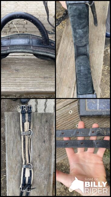 Gurt, Leder, mit großem Griff, Anouk, Longieren, Bad Oldesloe, Abbildung 7
