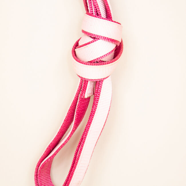 Gurtband-Longe Pink/Rosa 2,5m, myMILLA (myMILLA | Jonas Schnettler), Longieren, Pulheim, Abbildung 4