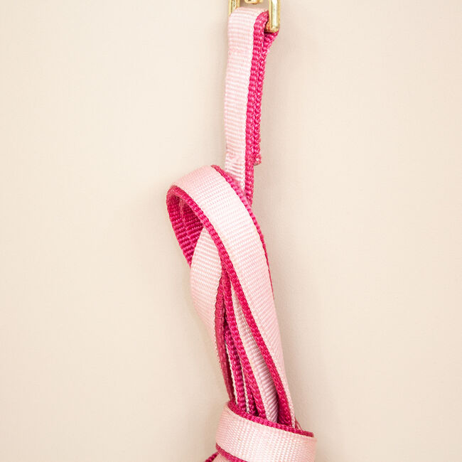 Gurtband-Longe Pink/Rosa 2,5m, myMILLA (myMILLA | Jonas Schnettler), Longieren, Pulheim, Abbildung 3