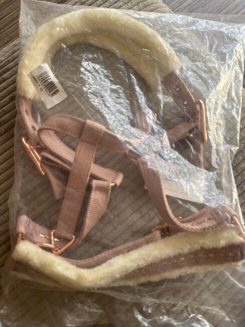 Halfter WB, Kathi, Halters, Uetersen