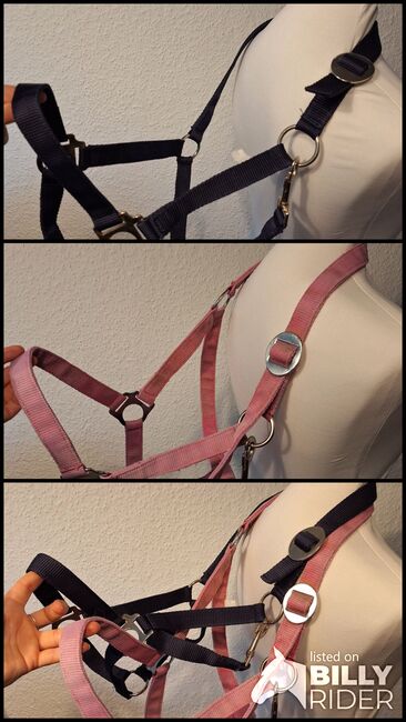 Halfter WB, Sonja S., Halters, Herne , Image 4