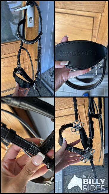 Hackamore Cob, Pia , Bitless Bridles, Straufhain , Image 5