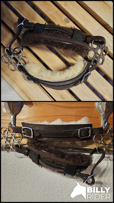 Hackamore Flower Gebisslos Glücksrad, Kirsten Reiser, Bitless Bridles, Weil der Stadt, Image 3