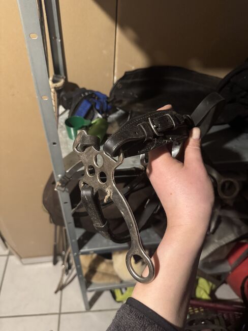 Hackamore, Nadine, Gebisslose Zäumungen, Katzenelnbogen, Abbildung 2