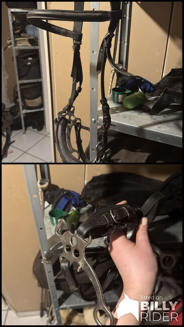 Hackamore, Nadine, Gebisslose Zäumungen, Katzenelnbogen, Abbildung 3