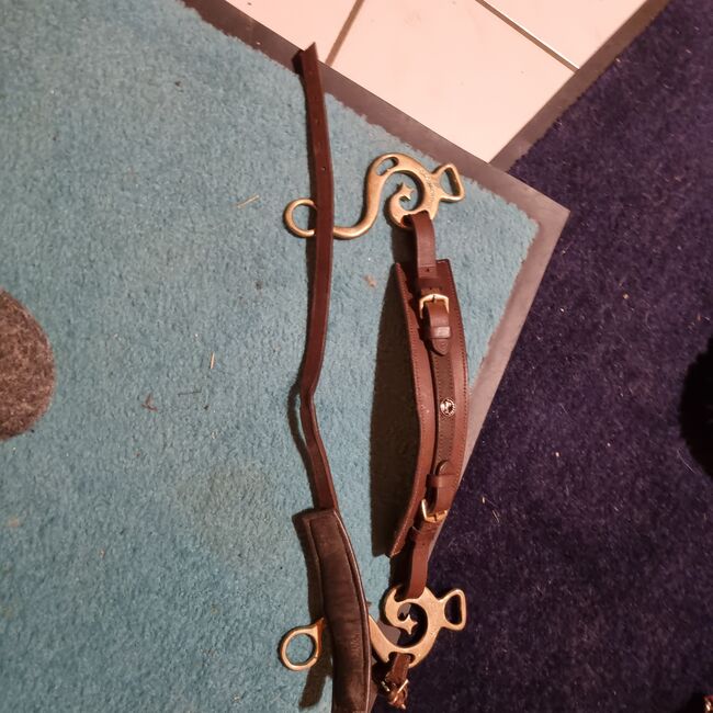 Hackamore mit kurzen Anzügen, Groskorth, Eva, Bitless Bridles, Roth 