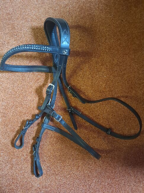 Hackamore Zaum, Groskorth  Venice, Diana Bock , Bitless Bridles, Monheim