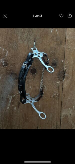 Hackamore wb, Jessica, Bitless Bridles, Droyßig
