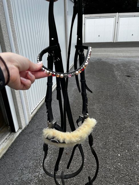 Hackamore WB, Lisa , Trensen, Unternberg