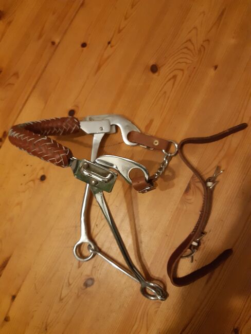 Hackamores, Domi, Bitless Bridles, Hausen