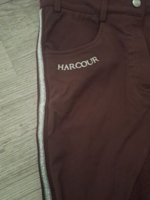 Hacour Reithose, Hacour, Majo, Breeches & Jodhpurs, Recklinghausen 