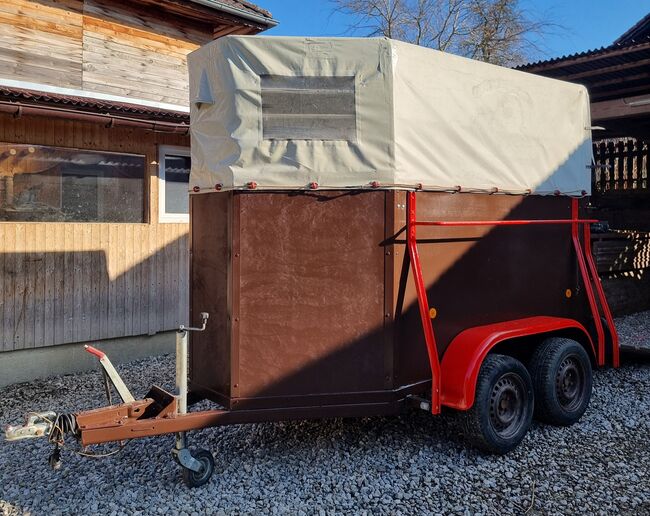 Pferde/ Vieanhänger Tandemachse, Zuck, Eule, Horse Trailers, Eberschwang, Image 8