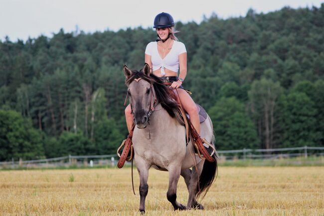 Pferd/ Pony Konik Wallach, Rheinbay Nathalie, Horses For Sale, Parkstein, Image 5