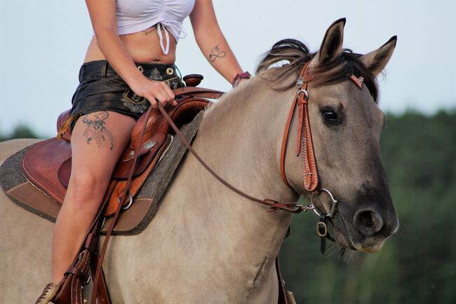 Pferd/ Pony Konik Wallach, Rheinbay Nathalie, Horses For Sale, Parkstein